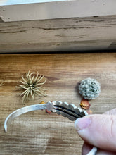 Load image into Gallery viewer, Cuff Bracelet - Kingman Turquoise &amp; Sterling Silver
