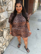 Load image into Gallery viewer, Kitty on the Prowl Shorts
